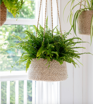 Woven Hanging Plant Pot - Tapered