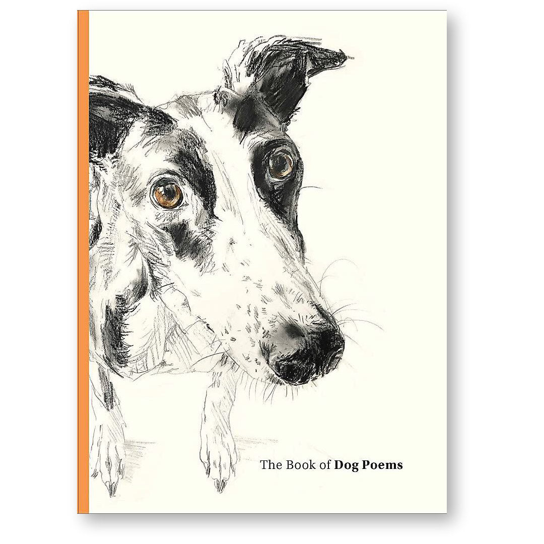 Book of Dog Poems illustrated hardback anthology edited by Ana Sampson, celebrating the love, loyalty and joy of dogs through classic and contemporary poetry.
