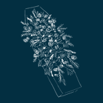Natural garden-style casket spray funeral flowers featuring seasonal blooms and foliage, handcrafted by Mad Lilies florists in Banstead, Surrey.