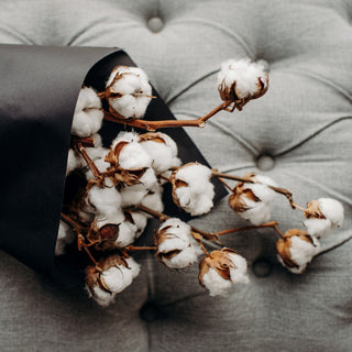 Dried Cotton Stems