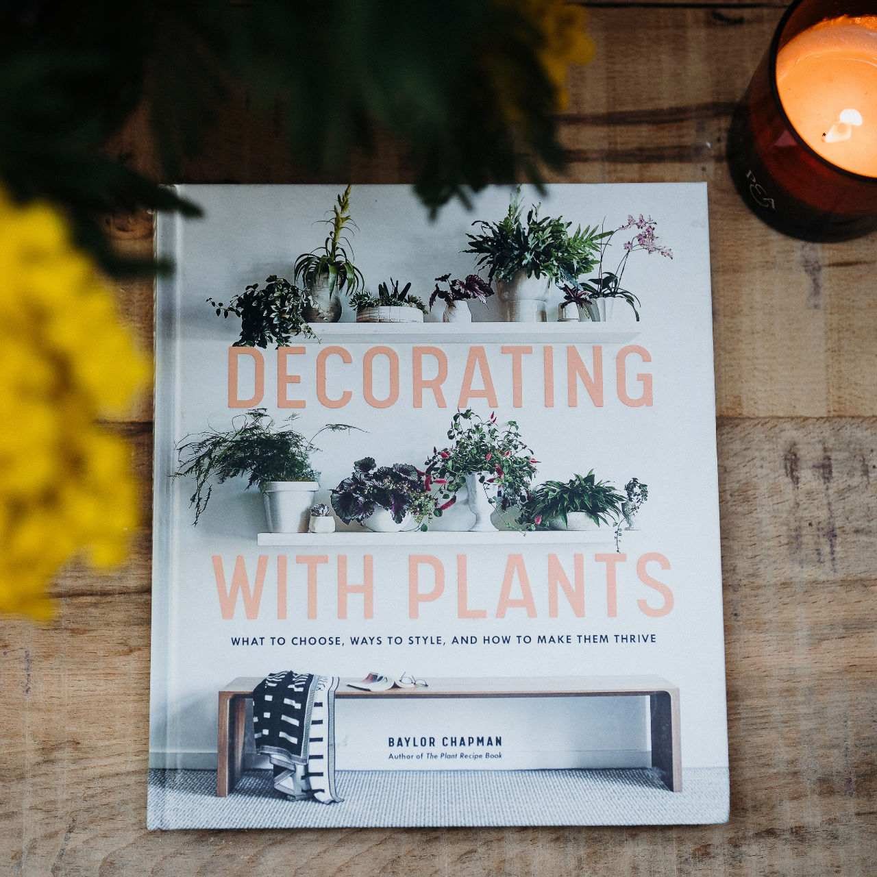 Decorating with Plants hardback by Baylor Chapman featuring houseplant styling inspiration, indoor plant care advice and over 350 colour photographs of beautiful plant-filled interiors.