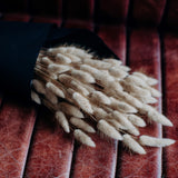 Natural dried Bunny Tails (Lagurus Ovatus) with soft fluffy seed heads and long 70cm stems for everlasting flower arrangements and stylish home décor.