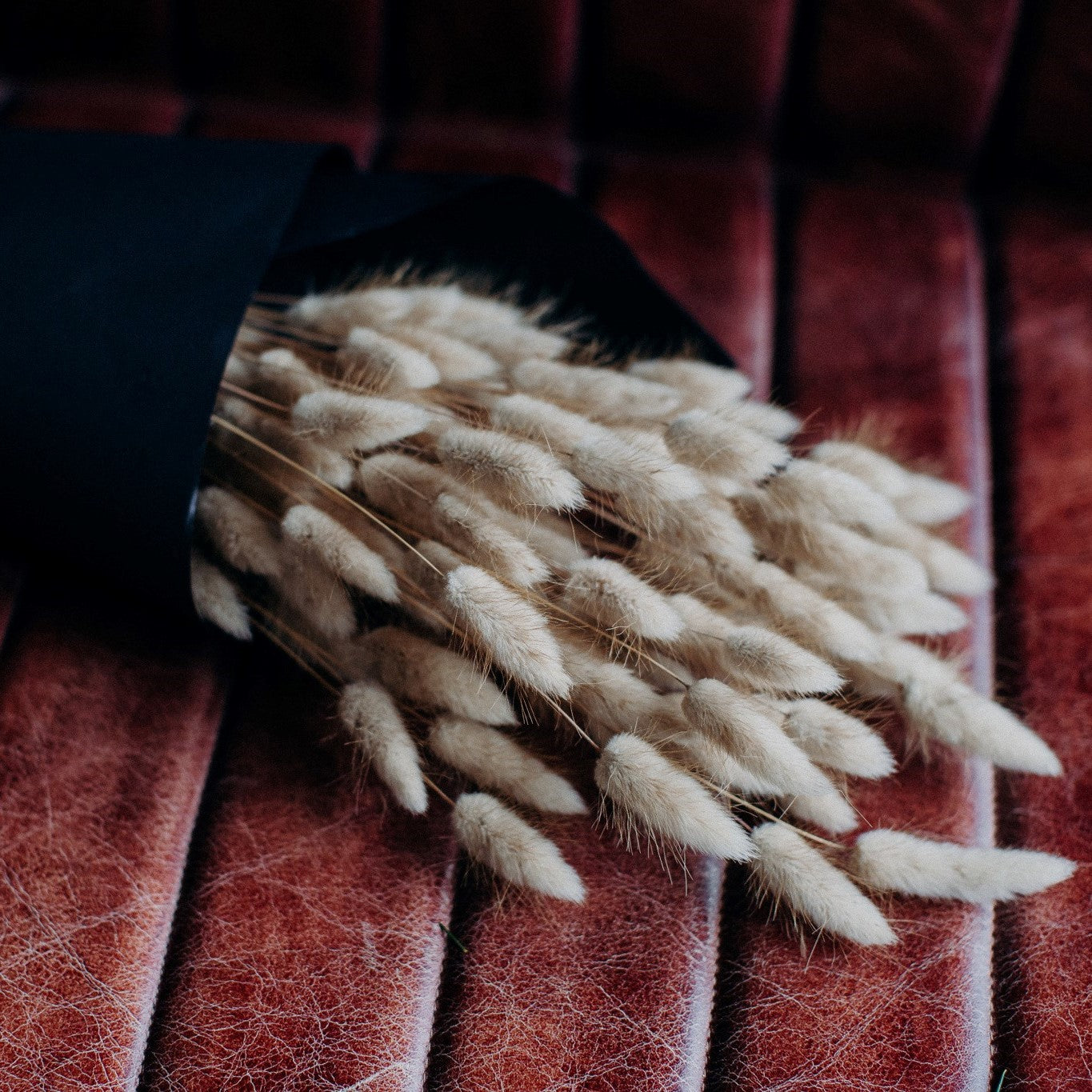 Natural dried Bunny Tails (Lagurus Ovatus) with soft fluffy seed heads and long 70cm stems for everlasting flower arrangements and stylish home décor.