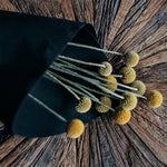 Bunch of 10 dried Craspedia Billy Buttons with bright golden-yellow flower heads, perfect for everlasting floral arrangements and modern home décor.