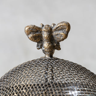 Jar With Mesh Lid