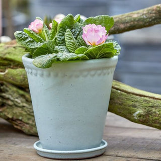 Lace Pot 14cm - Mix Blue Green