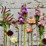 Monthly Flower Subscription
