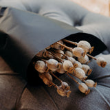 Dried Poppy Seed Heads
