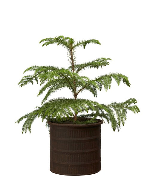 Ragna rustic metal outdoor planter with aged finish, decorative garden plant pot available in three sizes.