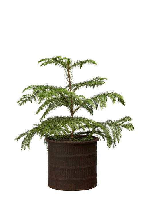 Ragna rustic metal outdoor planter with aged finish, decorative garden plant pot available in three sizes.