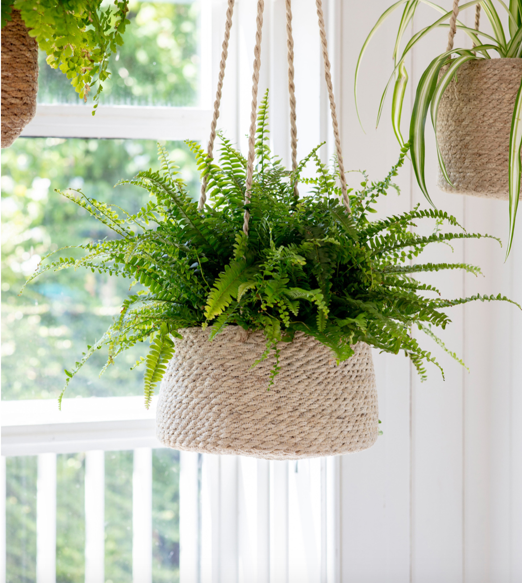 Woven jute hanging plant pot with tapered shape and waterproof liner.