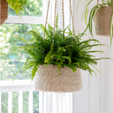 Woven jute hanging plant pot with tapered shape and waterproof liner.
