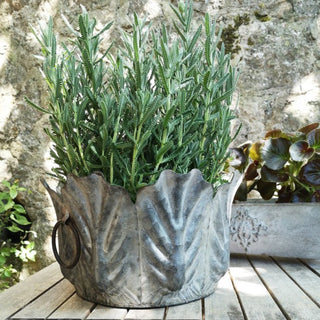 Zinc Leaf Planter